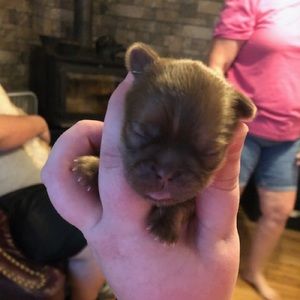 Meet your Posher, Michelle